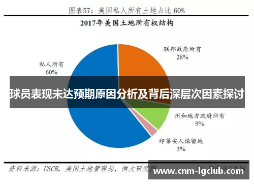 球员表现未达预期原因分析及背后深层次因素探讨