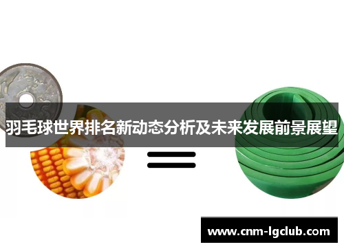 羽毛球世界排名新动态分析及未来发展前景展望