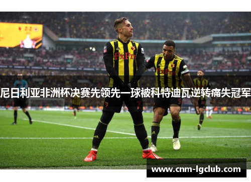 尼日利亚非洲杯决赛先领先一球被科特迪瓦逆转痛失冠军