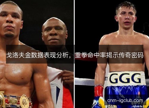 戈洛夫金数据表现分析，重拳命中率揭示传奇密码